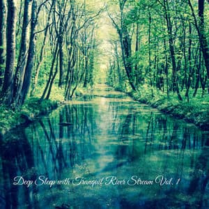 Deep Sleep with Tranquil River Stream Vol. 1 - Deep Sleep Sounds
