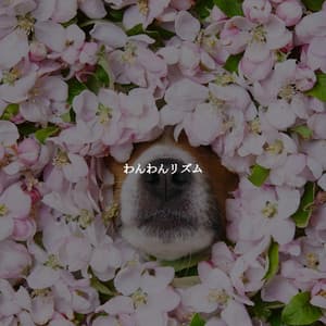 わんわんリズム - Jazz Ambiance