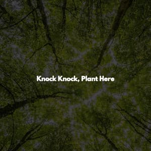 Knock Knock, Plant Here - Downtempo Jazz Coffee House