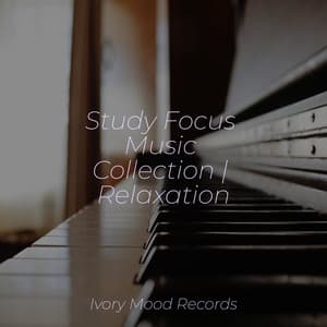 Study Focus Music Collection | Relaxation - Ivory Mood
