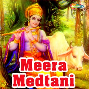 Meera Medtani - Kashyap Vora
