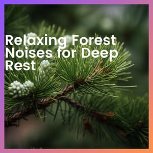 Relaxing Forest Noises for Deep Rest - Forest Sounds Channel
