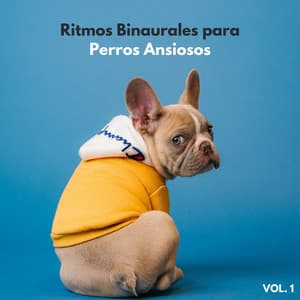 Ritmos Binaurales Para Perros Ansiosos Vol. 1 - Sistema de ritmos binaurales