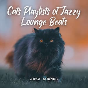 Jazz Sounds: Cats Playlists of Jazzy Lounge Beats - Coffee Morning Jazz Deluxe