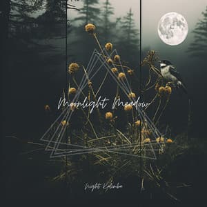 Moonlight Meadow: Nature’s Gentle Harmonies - Night Kalimba