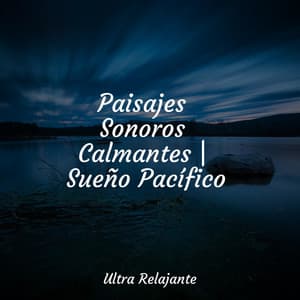 Paisajes Sonoros Calmantes | Sueño Pacífico - Sonidos de la Naturaleza