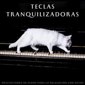 Teclas Tranquilizadoras: Meditaciones De Piano Para La Relajación Con Gatos - Piano Jazz Lujo