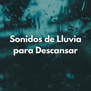 Sonidos De Lluvia Para Descansar - Ejemplo de biblioteca de lluvia
