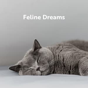 Feline Dreams: Calm Music for Cats Sleep - Cats Music Zone