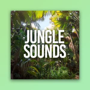 Jungle Sounds - Thunder Storms