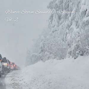 Winter Storm Sounds For Sleeping Vol. 2 - Deep Sleep Sounds