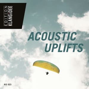 Acoustic Uplifts - Boulishious Bird