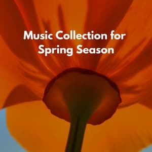 Music Collection for Spring Season - Soft Jazz Radio