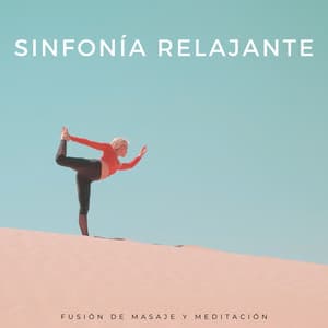 Sinfonía Relajante: Fusión De Masaje Y Meditación - Academia de Música para Reducir el Estrés