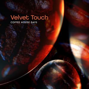 Velvet Touch - Coffee House Days