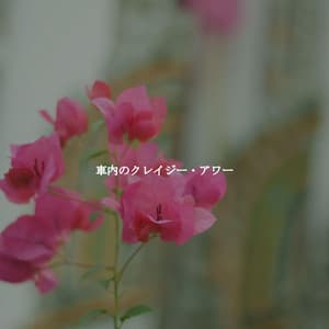 車内のクレイジー・アワー - Elevator Music Project