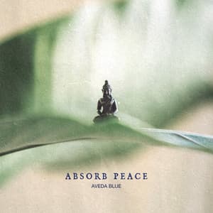 Absorb Peace - Aveda Blue