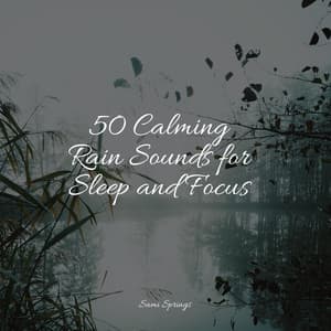 50 Calming Rain Sounds for Sleep and Focus - Rain Sounds Collection