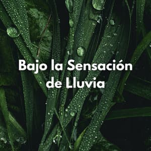 Bajo La Sensación De Lluvia - La Fábrica de Lluvia