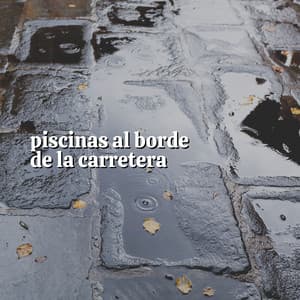 Piscinas al Borde de la Carretera - Lluvia Relajante