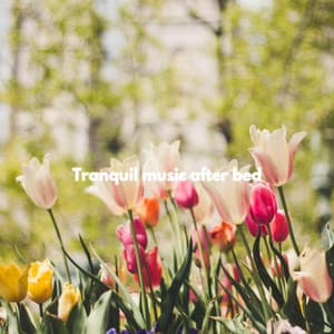 Tranquil music after bed - Cafe Chillout Jazz