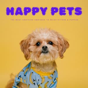 Happy Pets: The Most Soothing Ambiance To Relax Kittens & Puppies - Puppy Music