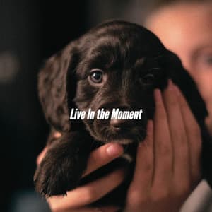 Live In the Moment - Acoustic Coffee Shop Music