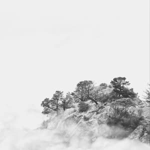 Magnificent Background Music for Recharging Rest - Relaxing Sleep Music