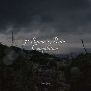 50 Summer Rain Compilation - Thunder and Rain Storm