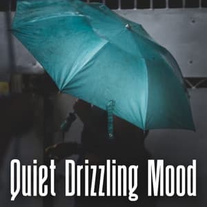 Quiet Drizzling Mood - Yoga Music