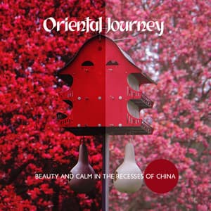 Oriental Journey – Beauty and Calm in the Recesses of China: Oriental Relaxation, Calmness & Freedom, Zen Experiences, Meditation & Yoga Routine - Pure Meditation Collection