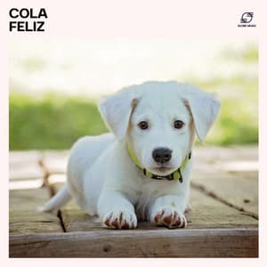 Cola Feliz: Relajación para Perros - Musicoterapia Animales Academy