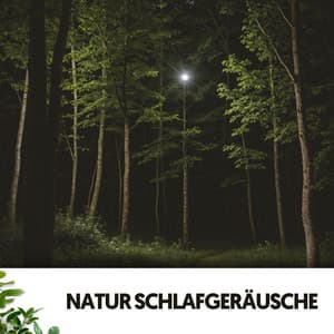 Natur Schlafgeräusche: Bezaubernde Schlaflieder von Mutter Erde - Relajacion