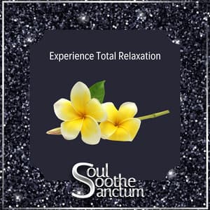 Experience Total Relaxation - Soul Soothe Sanctum