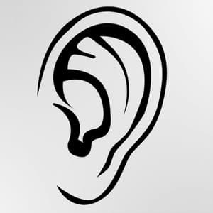 Tinnitus Help - Tinnitus Cure - Tinnitus Cure