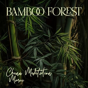 Bamboo Forest - Tao Te Ching Music Zone