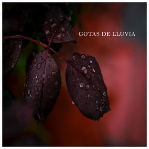 Gotas de Lluvia - Sonidos de Tormenta y Lluvia Fuerte