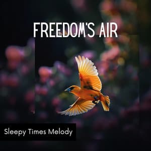 Freedom's Air - Sleepy Times Melody