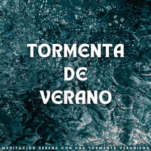 Tormenta De Verano: Meditación Serena Con Una Tormenta Veraniega - Acerca de una tormenta repentina