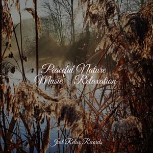 Peaceful Nature Music | Relaxation - Relajación