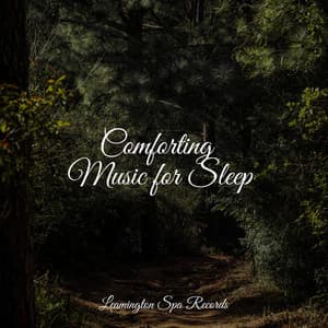 Comforting Music for Sleep - Rain Sounds Collection