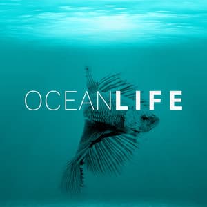 Ocean Life – Healing Water, Soft Music, New Age Relaxation, Sea Waves, Rain Sounds - Water Music Oasis