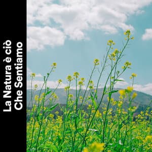 La Natura è ciò Che Sentiamo - Suoni Naturali
