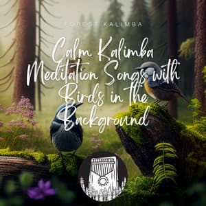 Calm Kalimba Meditation Songs with Birds in the Background - Forest Kalimba