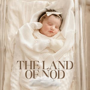 The Land of Nod - Baby Sleep Zone