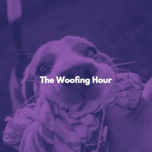 The Woofing Hour - Deluxe Jazz & Coffee