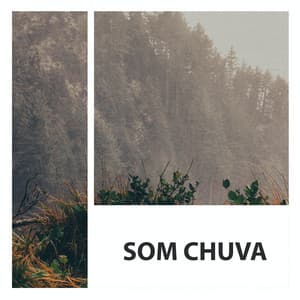 Som Chuva - Sons da Natureza & Relaxamento
