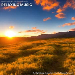 Relaxing Music for Night Sleep, Relaxation, Yoga, to Release Tension 2 - Sleeping Music