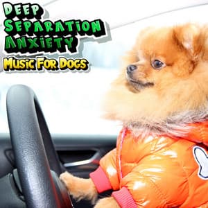 Deep Sleep Relaxing Dog Music Helped Millions Of Dogs - Deep Separation Anxiety Music For Dogs