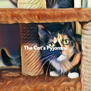 The Cat's Pyjamas - Cat Music Waves